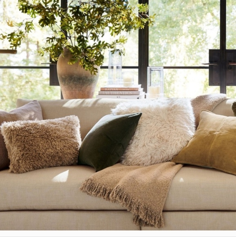 Pottery BarnSet of Two Luxe Faux Fur Euro Shams Pottery Barn. Set Of 2 NWT